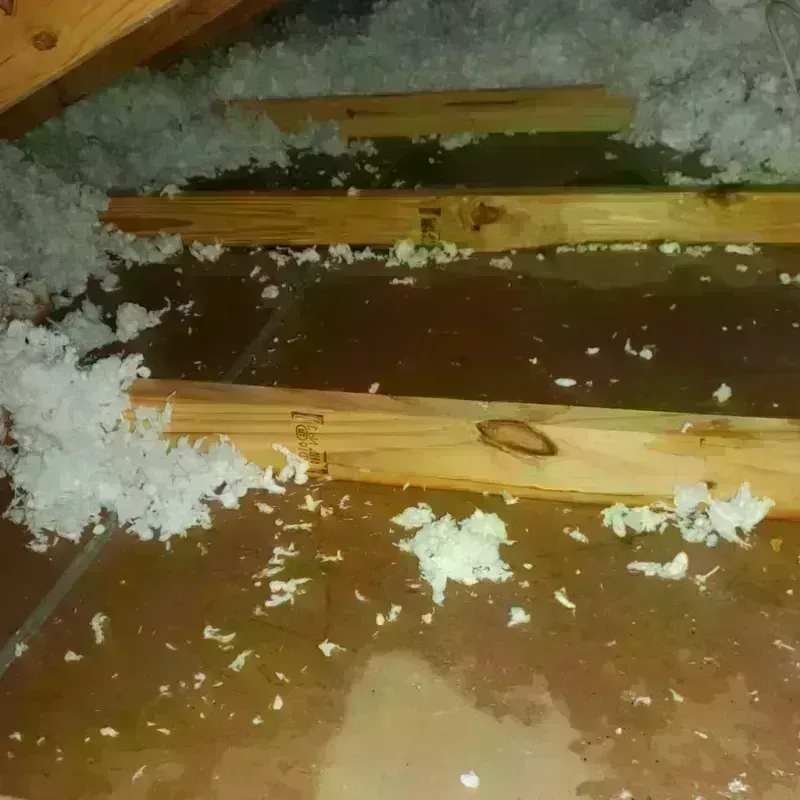 Attic Water Damage in Atlantic Highlands, NJ